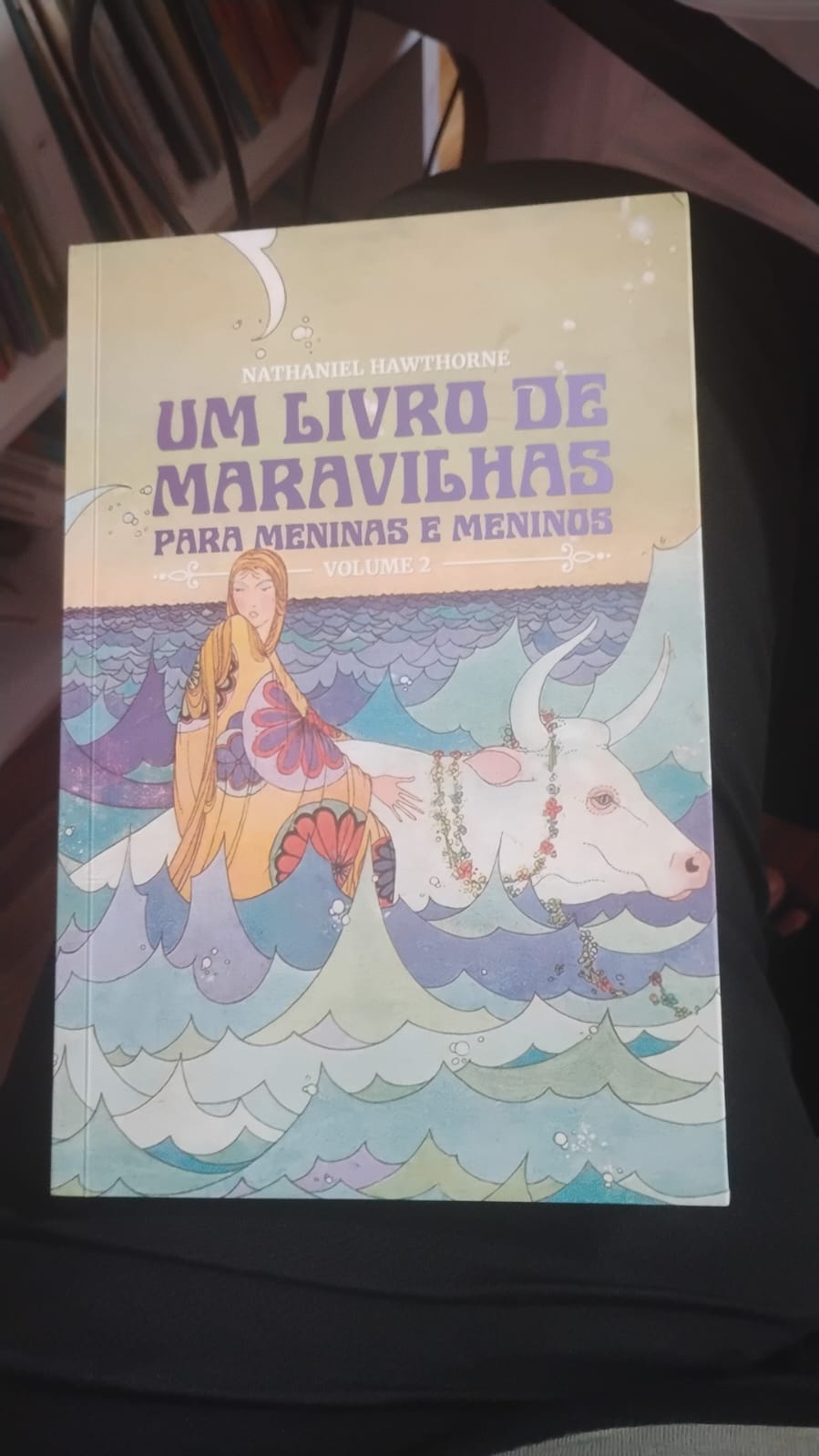 Capa do livro Um livro de maravilhas para meninas e meninos vol.2